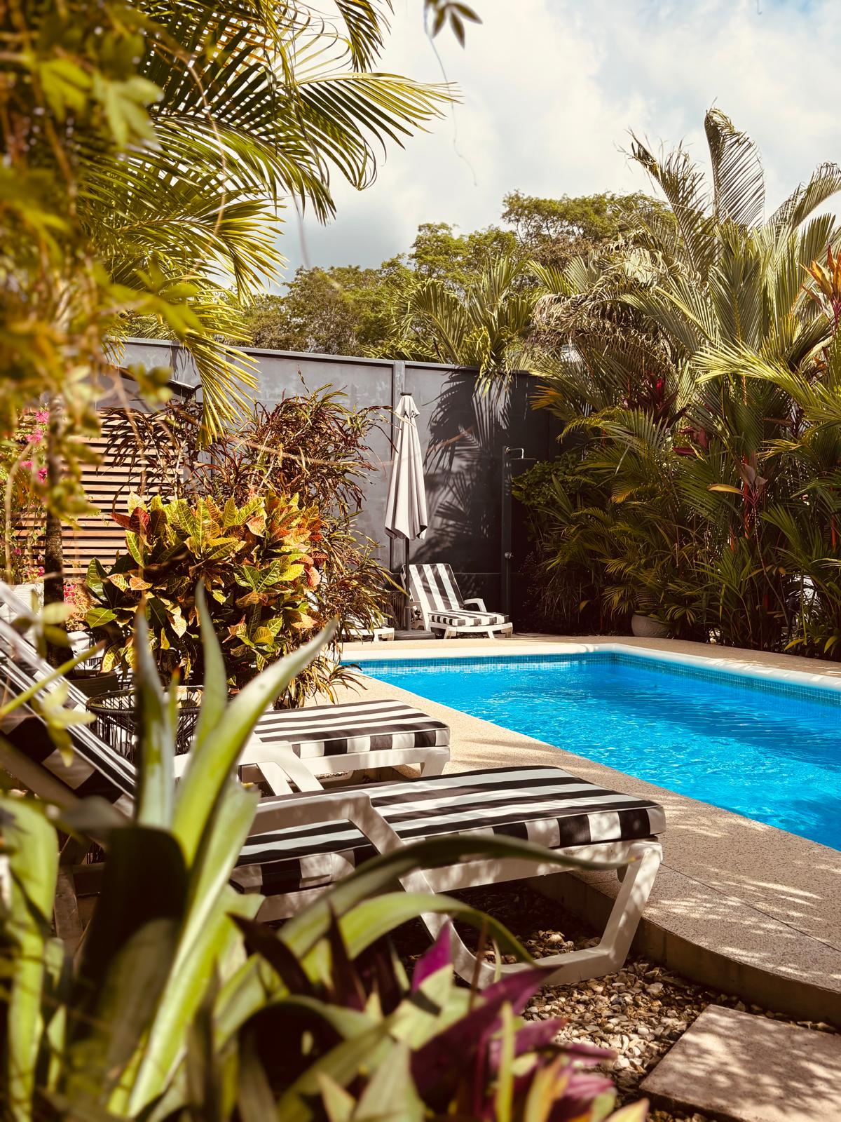 Thoughtful by Design: The Hotel Daleese Standard