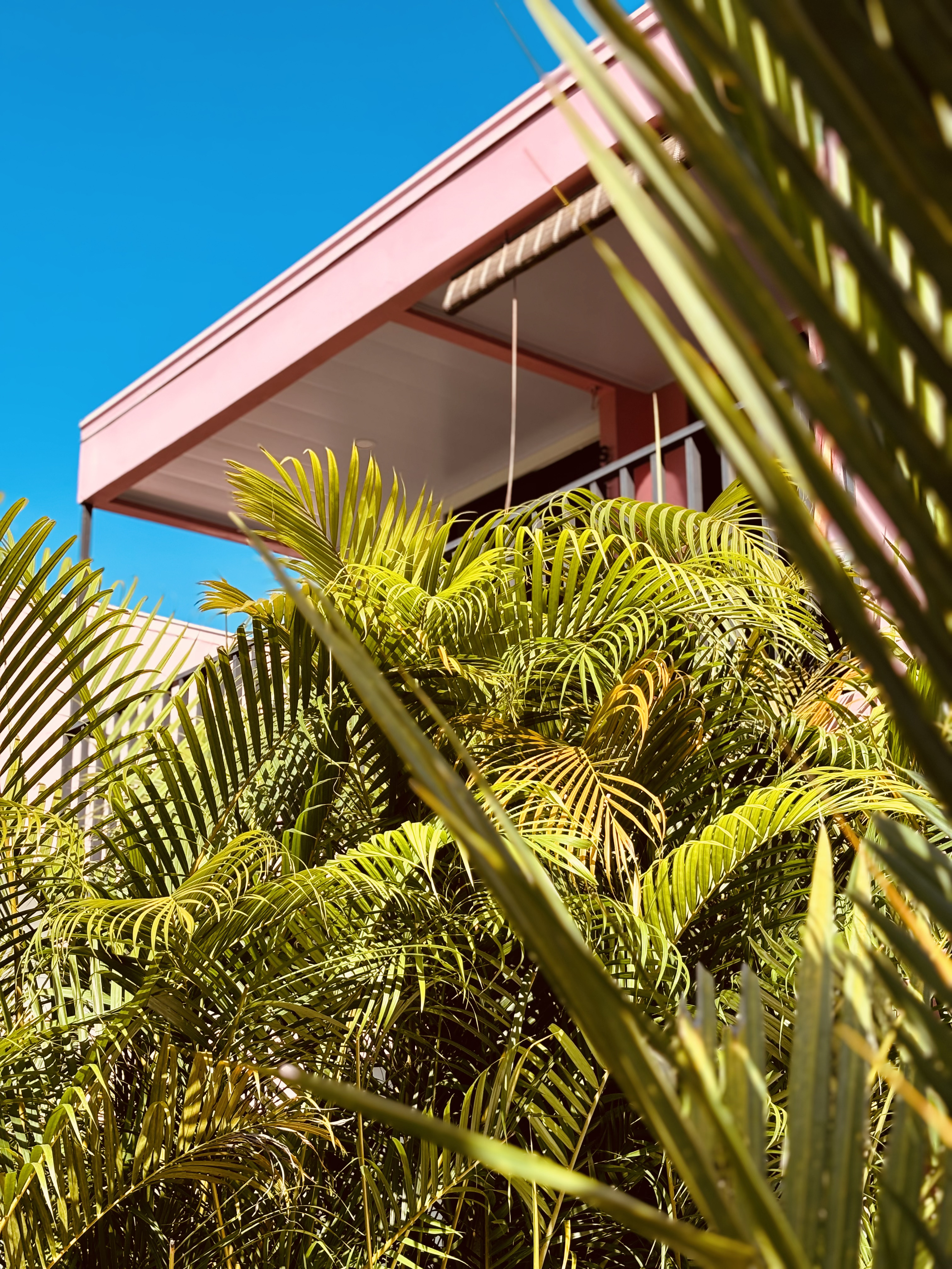 Hotel Daleese property
